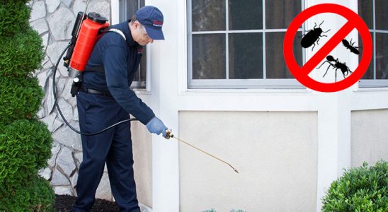 Samandağ Bit İlaçlama böcek ilaçlama ve haşere kontrolü — ilaclama-tr.com